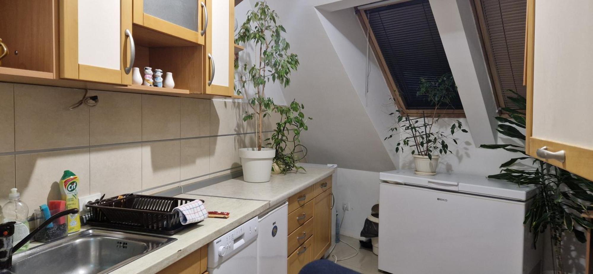 Apartman Natasa 3 Vrsac Exteriér fotografie